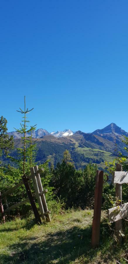 Alpenrose Hotel-Garni แกร์ลอส ภายนอก รูปภาพ